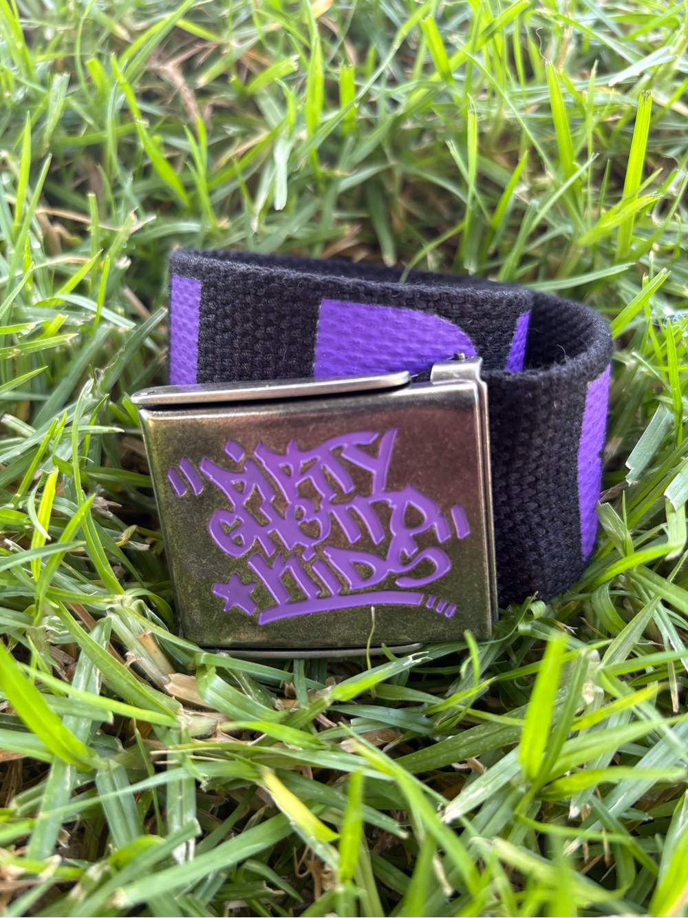 DGK Black and Purple Web Belt with Graffiti Buckle